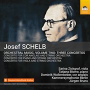 Schelb : Orchestral Music, Vol. 2 cover image
