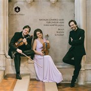 Bruch, Brahms & Schubert : Chamber Works cover image