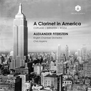 A Clarinet In America cover image