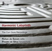 Harmonic Labyrinth cover image