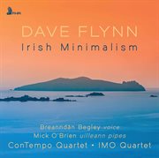 Dave Flynn : Irish Minimalism cover image