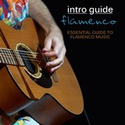 Intro Guide : Flamenco cover image
