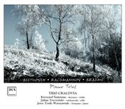 Beethoven, Rachmaninoff & Brahms : Piano Trios cover image