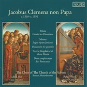 Jacobus Clemens Non Papa : Sacred Choral Works cover image