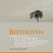 Beethoven : Piano Sonatas, Opp. 13 & 27 & Other Works cover image