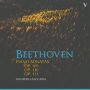 Beethoven : Piano Sonatas, Opp. 109-111 cover image