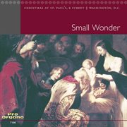 Small Wonder cover image