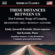These Distances Between Us : 21st Century Songs Of Longing cover image