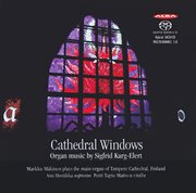 Cathedral Windows cover image