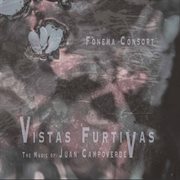 Vistas Furtivas : The Music Of Juan Campoverde cover image
