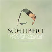 Schubert : Piano Sonatas, D. 566, D. 613 & Other Piano Works cover image