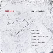 Eren Gümrükçüoğlu : Pareidolia cover image