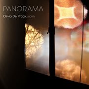 Panorama cover image