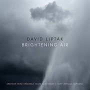 David Liptak : Brightening Air cover image