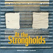 At The Strongholds cover image