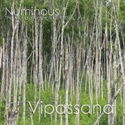 Numinous cover image