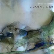 A Special Light cover image