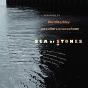 David Kechley : Sea Of Stones cover image