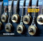 Walzer Fur Klavier Zu Vier Handen cover image