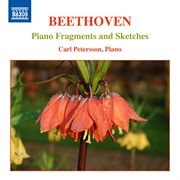 Piano fragments and sketches cover image