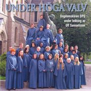 Under Hoga Valv cover image