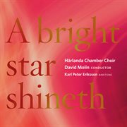 A bright star shineth cover image