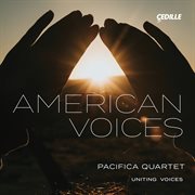 American Voices cover image