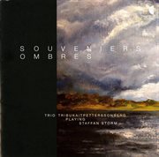 Storm : Souveniers Ombres cover image