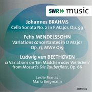 Brahms, Mendelssohn & Beethoven : Works For Cello cover image