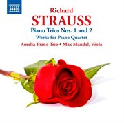 Strauss : Piano Trios Nos. 1 & 2 cover image