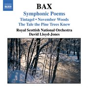 Bax : Symphonic Poems cover image