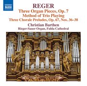 Reger : Organ Works, Vol. 16 cover image
