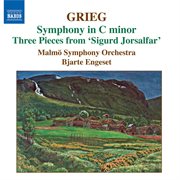 Grieg : Orchestral Music, Vol. 3. Symphony In C Minor. Old Norwegian Romance With Variations cover image
