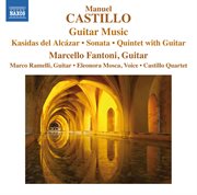 Castillo : Guitar Music cover image