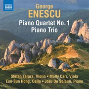 Enescu : Piano Quartet No. 1 In D Major, Op. 16 & Piano Trio In A Minor cover image