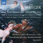 Reger : Orchestral Works cover image