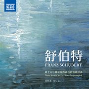 Schubert : Piano Sonata No. 16, Op. 42, D. 845 & 4 Impromptus, Op.  90, D. 899 cover image