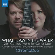 What I Saw In The Water cover image