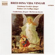 Bred Dina Vida Vingar cover image