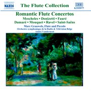 Flute Concertos (romantic) cover image