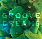 Groove Dreams cover image