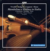 Mandolino E Violino In Italia cover image