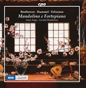 Mandolino E Fortepiano cover image