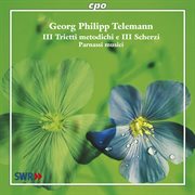 Telemann, G.p. : Chamber Music (parnassi Musici) cover image