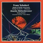 Schubert & Hüttenbrenner : Chamber Works cover image