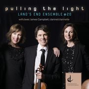 Pulling The Light cover image