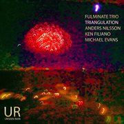 Triangulation cover image