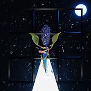 A Room With Many Doors : Night cover image