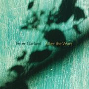 After The Wars cover image