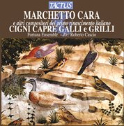 Cigni Capre Galli E Grilli cover image